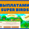 Super Birds